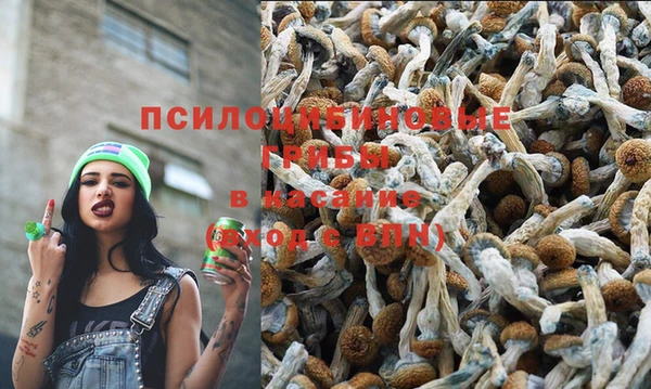 альфа пвп Майский