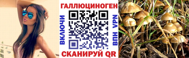 Галлюциногенные грибы прущие грибы  Опочка 